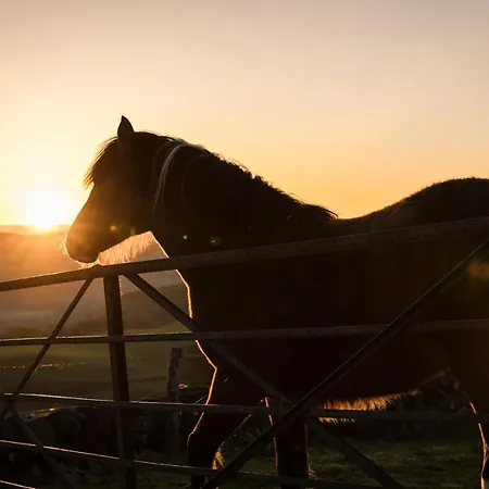 Forth Mountain Glamping Апартаменты *
