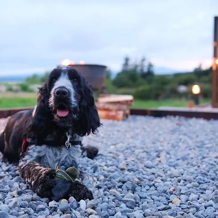 Lägenhet Forth Mountain Glamping *