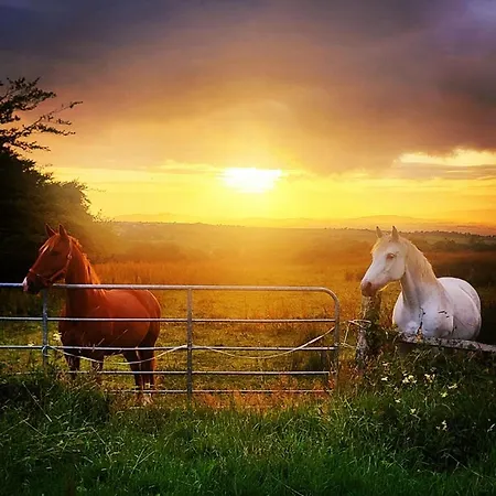 Forth Mountain Glamping * Ballintlea