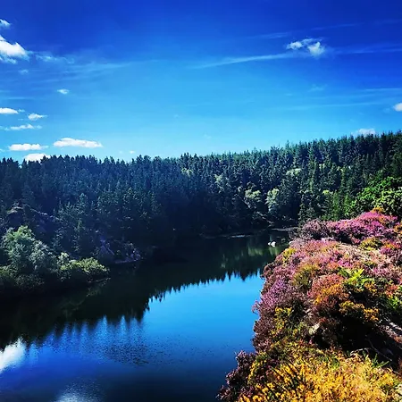 Forth Mountain Glamping *