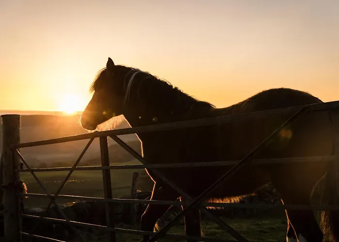 Forth Mountain Glamping 公寓 *