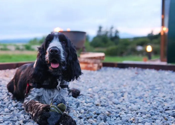 公寓 Forth Mountain Glamping *