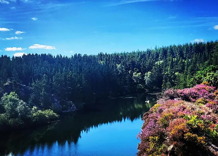 Forth Mountain Glamping *